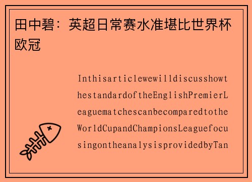 田中碧：英超日常赛水准堪比世界杯欧冠